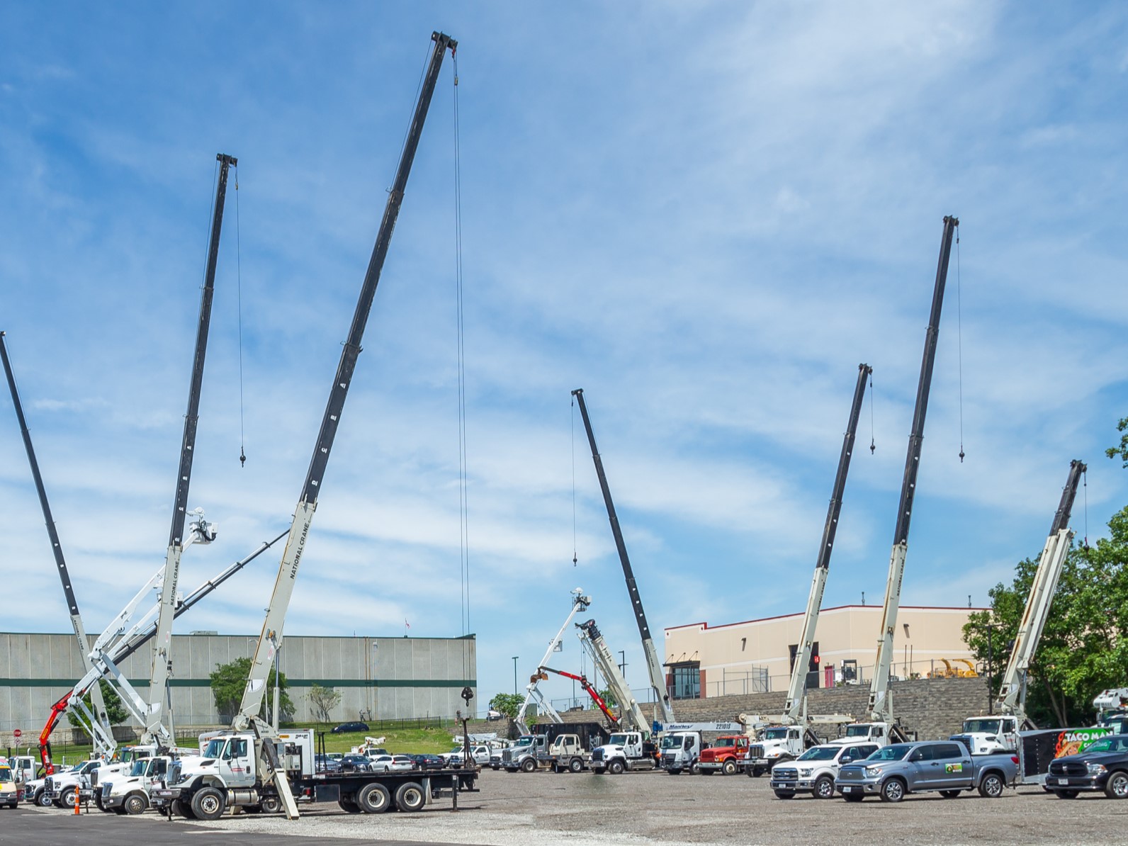 picture of multiple stick boom cranes in yard with booms up